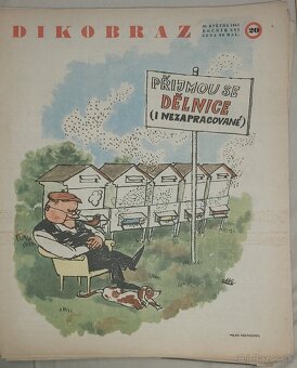 DIKOBRAZ - komplet ROČNÍK 1965 - 3