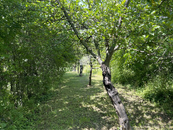 Záhrada s chatkou v Nitre, Dražovce - 3