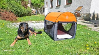 Prepravný box pre psa 4pet - 3