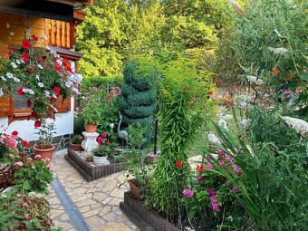 Celoročná chata na predaj v Jelenci - 3