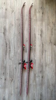 Pánske lyže Dominant APL - 3