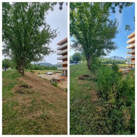 Výrub stromov, čistenie pozemkov - 3