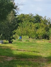 Pozemok v Kameníne - 3