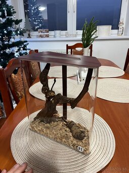Dizajnové Terarium/ insektárium - 3