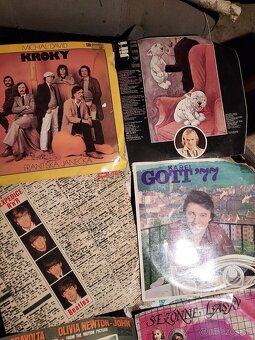 Gramofonove Platné - 3