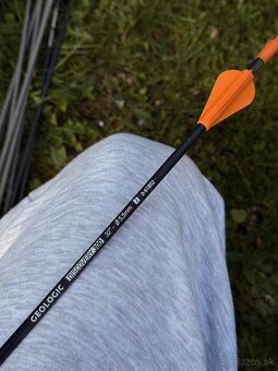 Luk, terč, šípy - 3