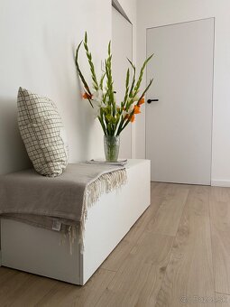 Skinka pod televízor so zásuvkami IKEA/Besta - 3
