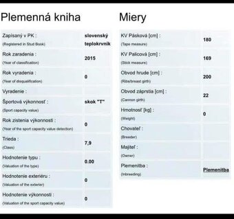 Pripúšťanie žrebcom teplokrvnik - 3