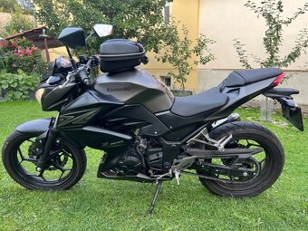 Kawasaki Z300 - 3