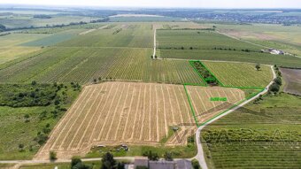 Na predaj zaujímavý pozemok v Modre s výmerou 6419 m2 - 3