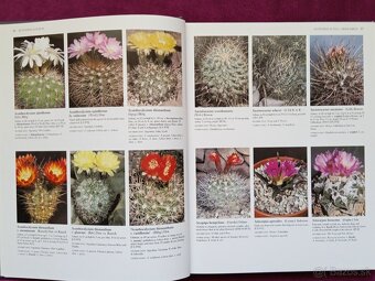 Ilustrovaná encyklopédia kaktusov v angličtine - 3