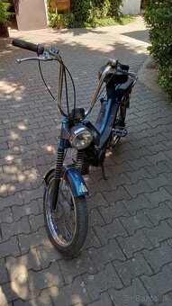 Babeta - 3