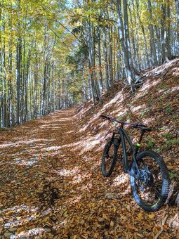 Dartmoor Hornet 2019 M | Bezdušáky | Teleskopka - 3