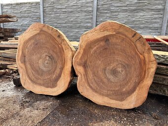 Priečne rezy kmeňom Brest Brestove Rezivo Drevo Koláče - 3