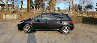 Peugeot 307-1,4 benzin - 3