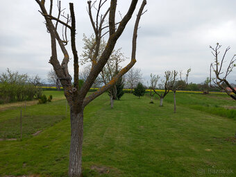 Pozemok/zahrada/1000m2/Lúčnica Nad Žitavou - 3