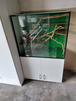 Terarium - 3