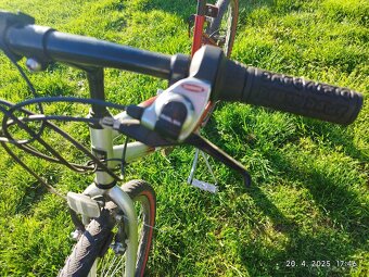 dámsky bicykel - 3