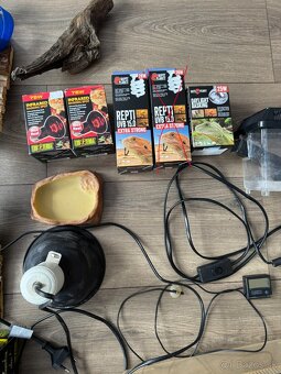 veci po chove agamy bradatej - 3