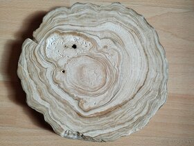 Predám rez z kvapľa - 3