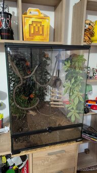 Terarium 45x45x60cm - 3
