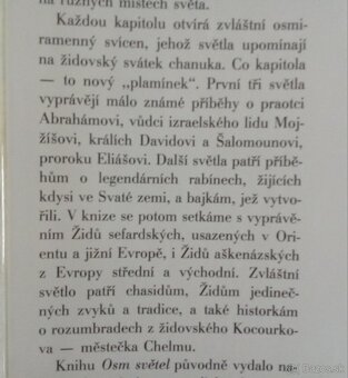 Osm světel, Leo Pavlát - 3
