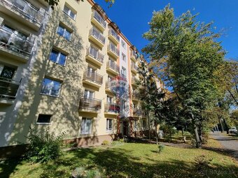 PRENÁJOM, 1-izbový byt, tehlový, Poprad, Ul. Francisciho, - 3