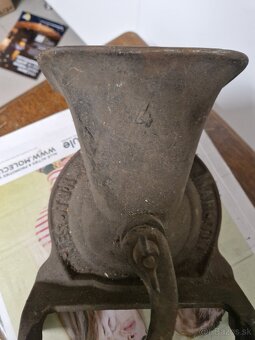 Mlyncek železný - 3