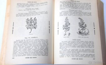 Matthioli - Herbář - sv.3 - 3