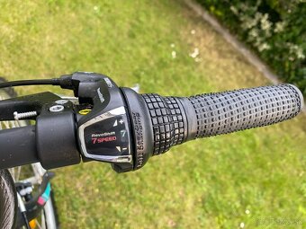Ctm stefi 1.0 damsky bicykel - 3