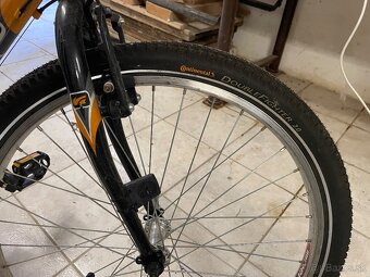 Kellys Jane Junior - 3