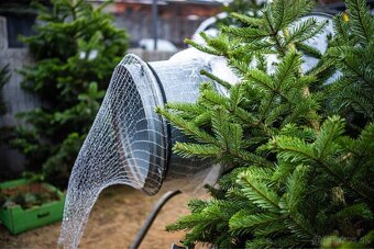 Donáška vianočných stromčekov až k vám domov - 3