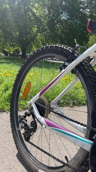 Horský bicykel CTM Charisma 1.0 - 3
