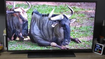 Na predaj LG smart televizor 120cm uhlopriečka - 3