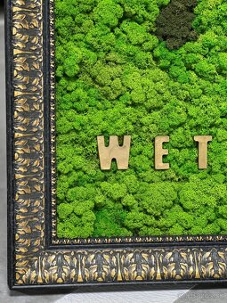 Machovy obraz WET - 3