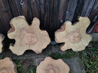 Dekoračné kmeňové drevené pláty - 3