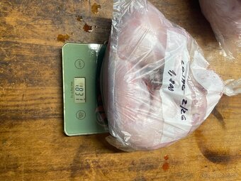 Predám kralicie mäso - 3