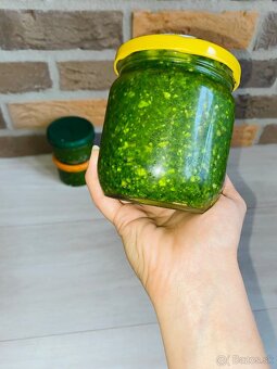 Pesto MEDVEDÍ CESNAK 2025 - 3