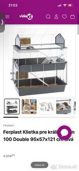 Minilop s rodokmeňom - 3