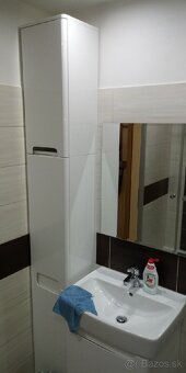Prenajom 1 izboveho bytu - 3