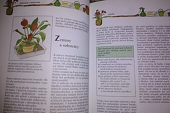 Izbové rastliny- Helmut Jantra - 3