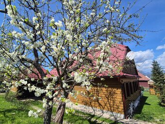 Pôvodná drevenica s výhľadom na Tatry - 3