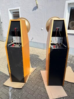 Acapella Acapella Violon High End Horn - 3