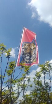 Zástava , vlajka Tigra - 3