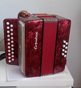 Heligonka harmonika delicia populár - 3