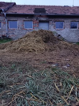 Konsky hnoj - 3