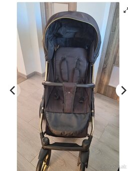 Športovy kočik - 3