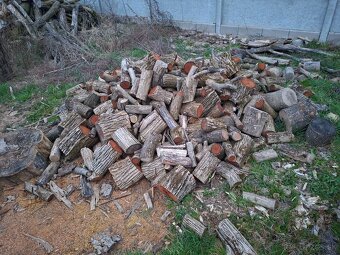 Palivové drevo - 3