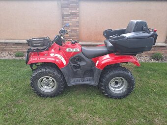 Suzuki Eiger 400 - 3