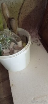 Včely, chov včiel - 3